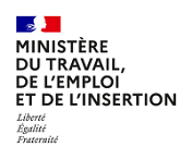 Ministère du travail, de l'emploi et de l'insertion
